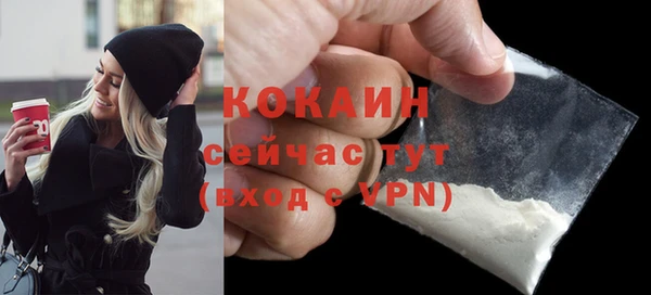 молекула духа Новодвинск