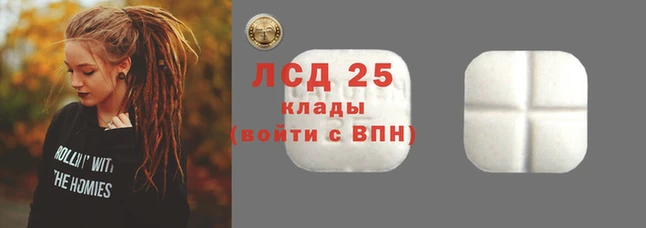 молекула духа Новодвинск