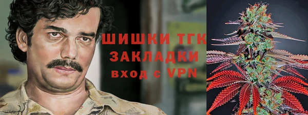 скорость Новозыбков