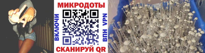 Галлюциногенные грибы GOLDEN TEACHER  купить   Торжок 